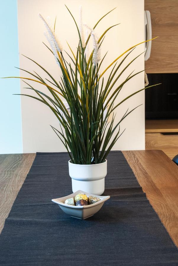 N10 Apartment 贝尔格莱德 外观 照片